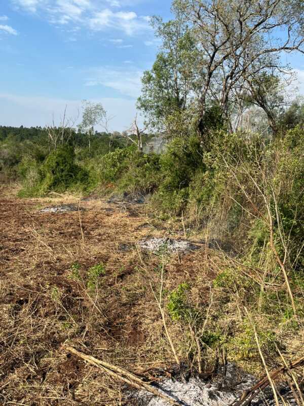 Incendio de malezas en Santo Pipó fue controlado sin heridos ni daños materiales 5 WhatsApp Image 2026 08 17 at 19.03.19 1 - 4