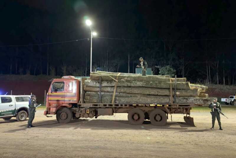secuestro de madera nativa en Dos de Mayo
