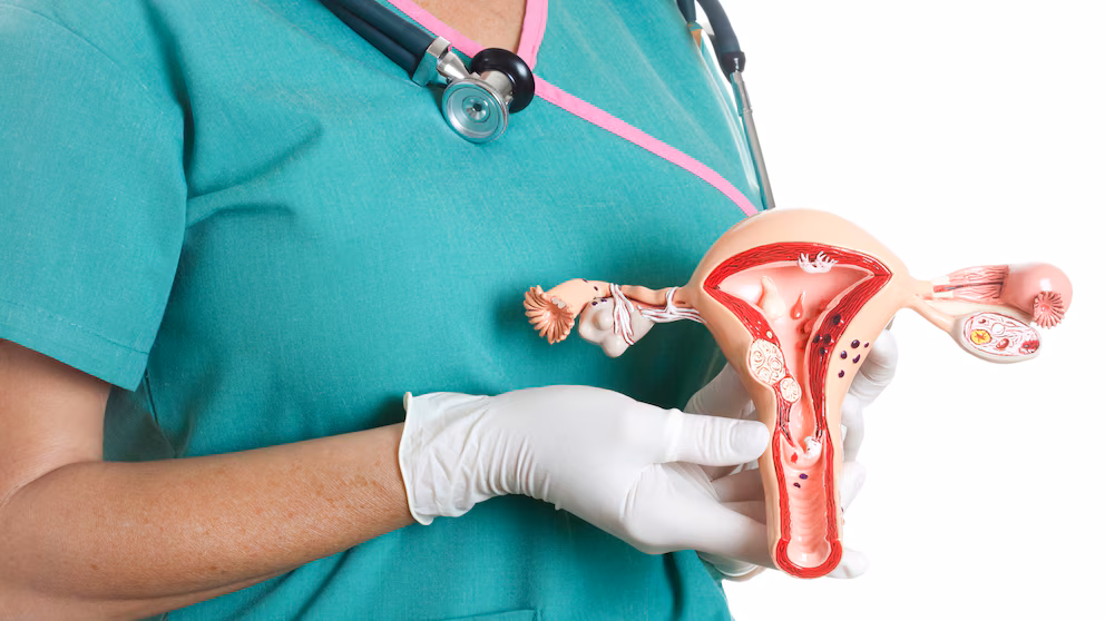 Cáncer de cuello uterino: investigadores argentinos avanzan con una innovadora técnica 2 Cáncer de cuello uterino: desarrollan en Argentina un dispositivo para tratar tumores profundos