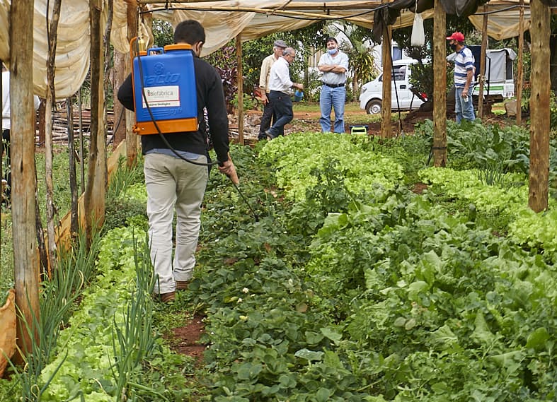 Bioinsumos en Misiones: Biofábrica avanza con alternativas para reducir químicos, pero aún no existen bioherbicidas registrados 4 biofabrica 5 - 3