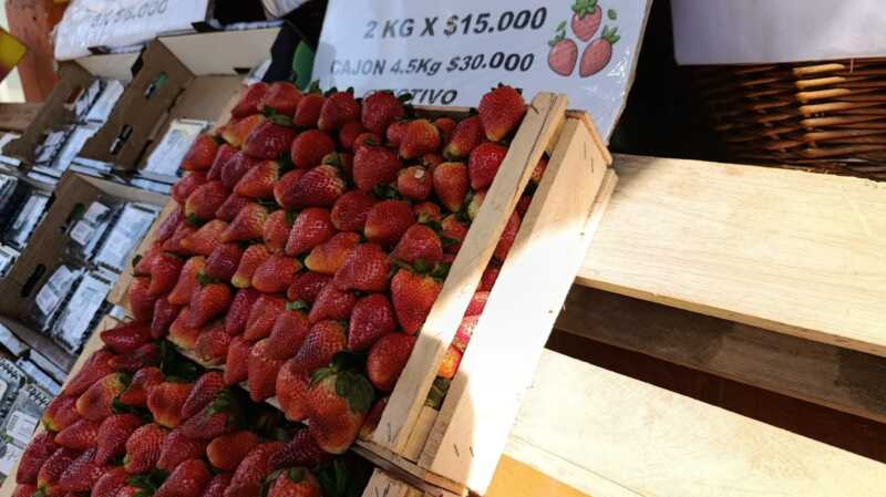 Frutilla y arándano con pagos en efectivo lideran las tendencias de frutas en Posadas 4 frutas verduras 2 - 3
