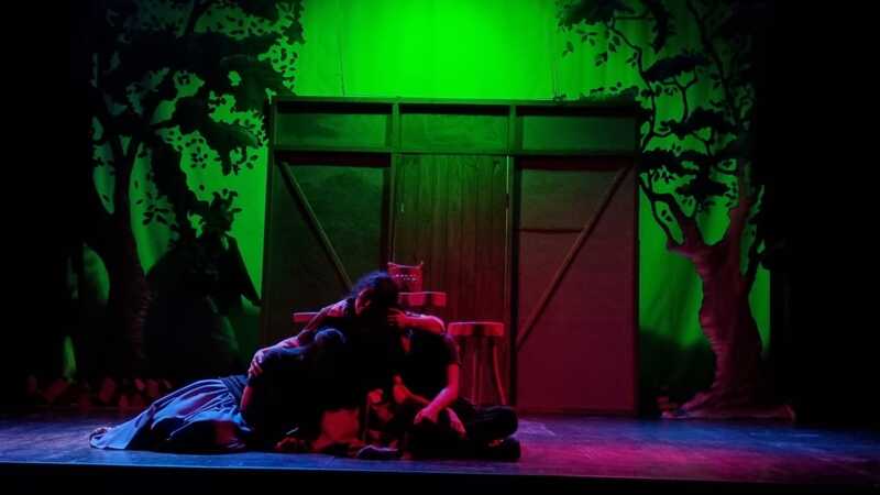 “Gretel y Hansel” llega a Posadas: una mirada diferente del clásico de los hermanos Grimm 4 gretel hansel 1 - 3