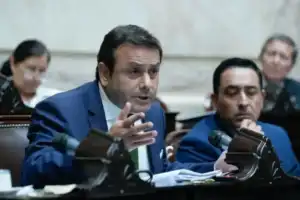 Se presenta Argentina Federal, el nuevo bloque de nueve diputados que presidirá Herrera Ahuad herrera ahuad dip2 - 1