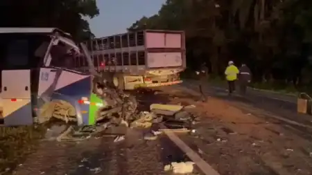 Brasil: 22 personas murieron en un choque entre un camión y un autobús que trasladaba pacientes image 2 - 6