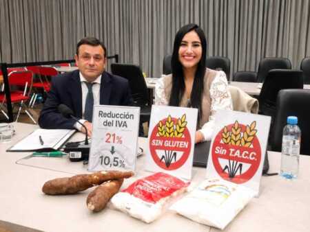 Oscar Herrera Ahuad durante su exposición en la Cámara de Diputados, donde defendió la reducción del IVA para la fécula de mandioca.