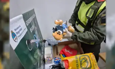 marihuana Oso