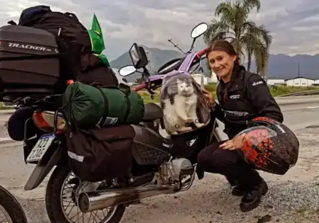 Marcela, la misionera que recorre Brasil en su moto 110 y su gata Lagertha: "Hago 130 km diarios, con un tanque me alcanza"