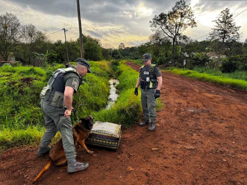 Gendarmes secuestraron cargamento de marihuana valuado en más de $140 millones en Misiones 3 secuestraron