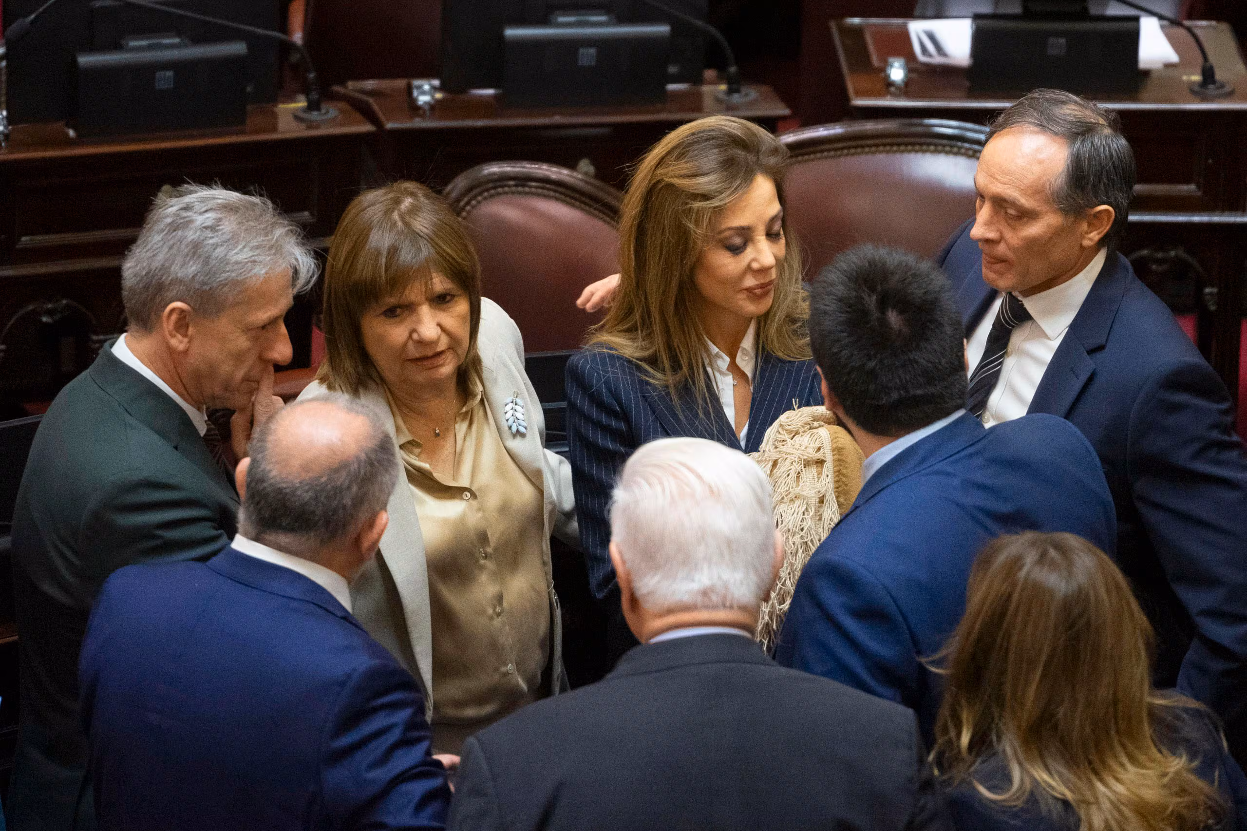“Hay una sociedad que está disconforme con la gestión del gobierno”: el análisis tras el debate por la Ley de Tierras 6 senado ley de tierras - 5