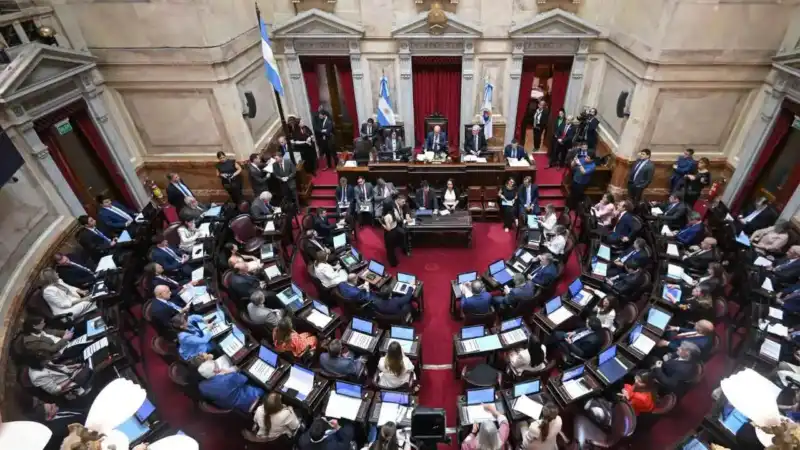 Rojas Decut pidió consenso para una reforma educativa: “No se puede imponer un modelo” 7 Gobierno