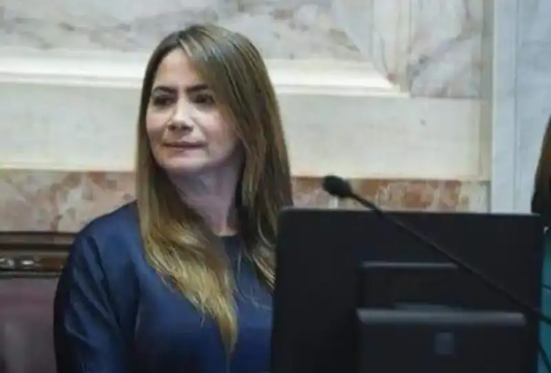 Rojas Decut: “El gobernador está liderando la agenda parlamentaria” 6 sonia rojas decut senadora - 5