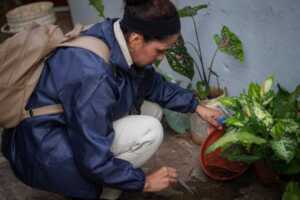 Posadas se prepara para un nuevo Operativo LIRAa para detectar y prevenir el dengue 32688228 a650 41be b3e9 b3b20772282c - 1