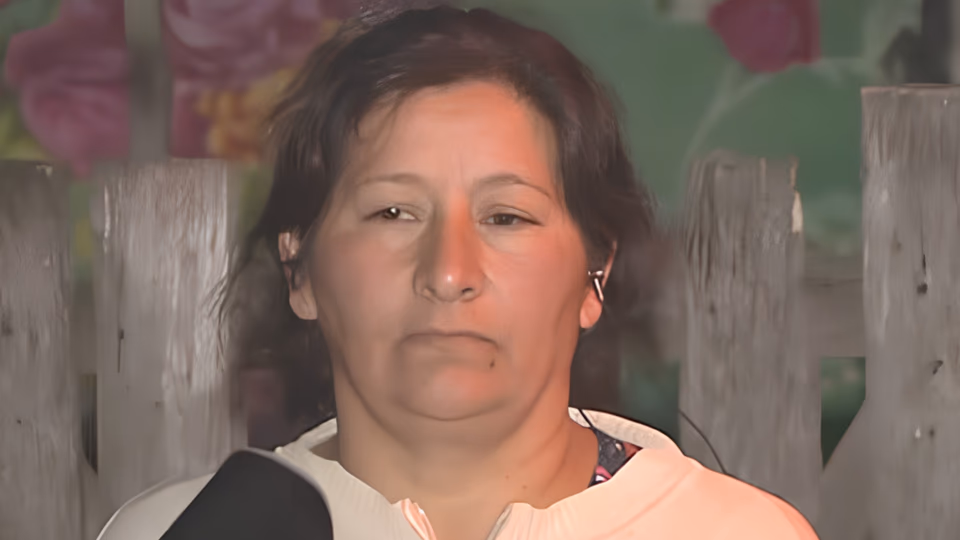 Juicio por la desaparición de Loan: en su declaración, Laudelina lloró y pidió perdón caso Loan