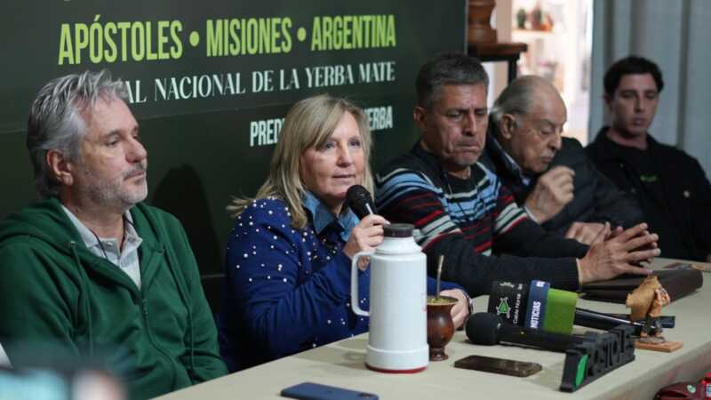 Apóstoles presentó la 48ª Fiesta Nacional e Internacional de la Yerba Mate 12 5c92a209 ee07 4799 9fcf 22adcdb00d5e - 11