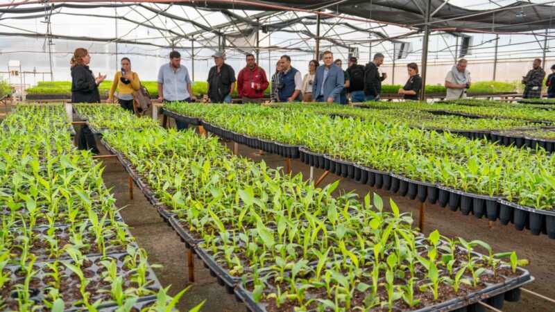Contar el agro: el desafío de un periodismo que se especializa y mira al territorio 2 Visita a Biofábrica Misiones, en el marco del 1° Encuentro de Agroperiodistas de la Mesopotamia. Foto: Ada López.