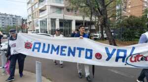 docentes