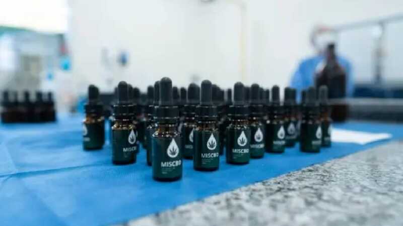 Misiones Cannabis