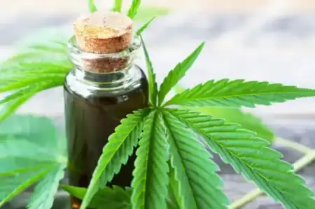 Misiones Cannabis