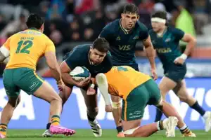 Pumas