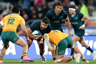 Pumas