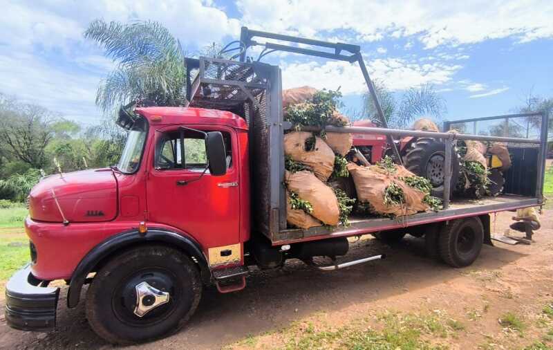 Tractorazo contra Milei en Iguazú: “Nos están pisando la cabeza y nadie sale a decir nada” 2 WhatsApp Image 2026 09 03 at 17.23.00 - 1