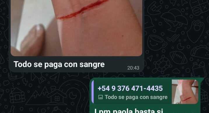 Una denuncia contra una docente en Posadas incluyó un pedido de protección para una niña de 9 años 2 La presentación policial incluyó distintas acusaciones y capturas de mensajes que deberán ser investigadas.