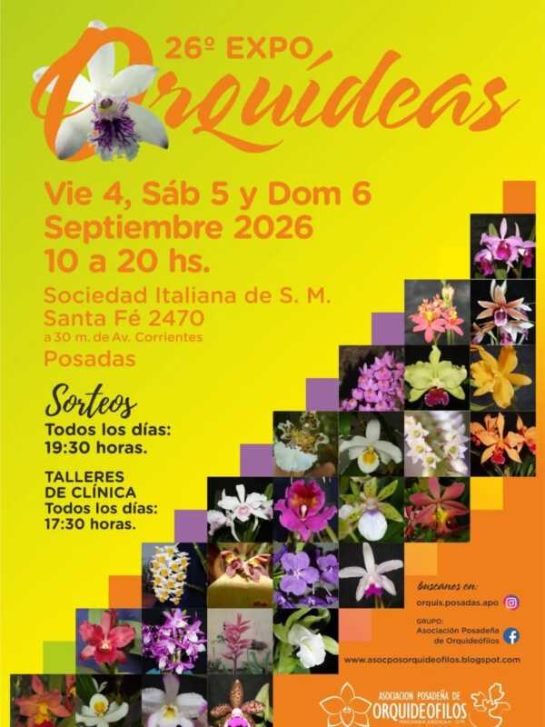 Expo Orquídeas en Posadas: habrá clínica de cultivo y explicarán cómo evitar los errores más comunes 10 expo orquideas - 9