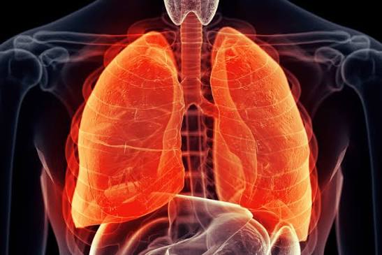 Fibrosis Pulmonar: una patología que afecta la funcionalidad de los pulmones y alerta a los pacientes La fibrosis pulmonar puede avanzar durante años sin un diagnóstico preciso. Cuáles son sus principales síntomas, cuántas personas podría afectar en Argentina y por qué la detección temprana es clave.