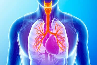 Fibrosis Pulmonar: una patología que afecta la funcionalidad de los pulmones y alerta a los pacientes 1 La fibrosis pulmonar puede avanzar durante años sin un diagnóstico preciso. Cuáles son sus principales síntomas, cuántas personas podría afectar en Argentina y por qué la detección temprana es clave.