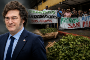 Productores y trabajadores yerbateros de Andresito preparan una caravana hacia Puerto Iguazú para protestar durante la visita de Javier Milei.