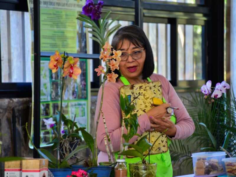 Expo Orquídeas en Posadas: habrá clínica de cultivo y explicarán cómo evitar los errores más comunes 2 orquideas2 - 1