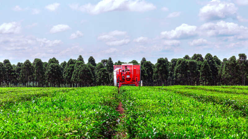 Misiones - Productor