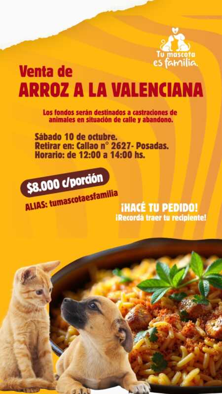 848 animales castrados: la Fundación Tu Mascota es Familia pide apoyo para continuar con su trabajo 2 WhatsApp Image 2026 10 05 at 16.18.23 - 1