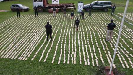 desarticulan banda marihuana misiones