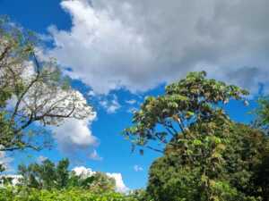 Dia - Tiempo - misiones