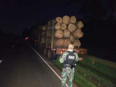 caraguatay madera ilegal