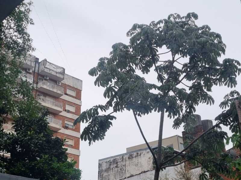 Lluvias aisladas y temperaturas en alza: qué anticipa el pronóstico en Misiones WhatsApp Image 2026 10 29 at 17.11.58 - 2