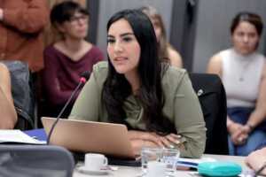 La diputada nacional por Misiones contó en Radio Up que su experiencia personal también impulsó el proyecto.