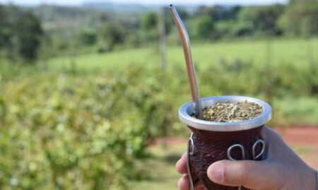 Yerba exportaciones