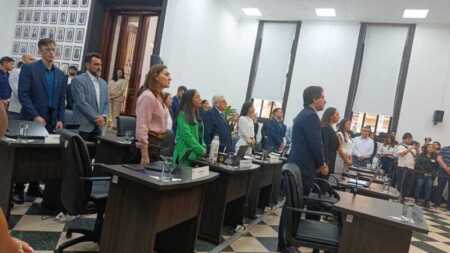 concejo deliberante posadas