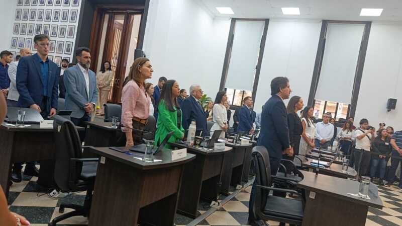 concejo deliberante posadas