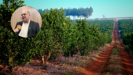 Glifosato y yerba mate: Gustavo Hein aclaró la relación productiva y advirtió por el impacto de la desinformación Gustavo Hein, presidente de FEDECOOP e integrante de CONINAGRO, explicó el uso del glifosato en los yerbales y reclamó combatir la desinformación.