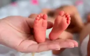 La Semana Provincial del Niño Nacido Prematuro incluirá actividades de concientización y acompañamiento familiar en Misiones.